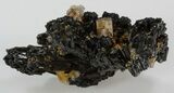 Goshenite on Black Tourmaline (Schorl) - Namibia #31866-1